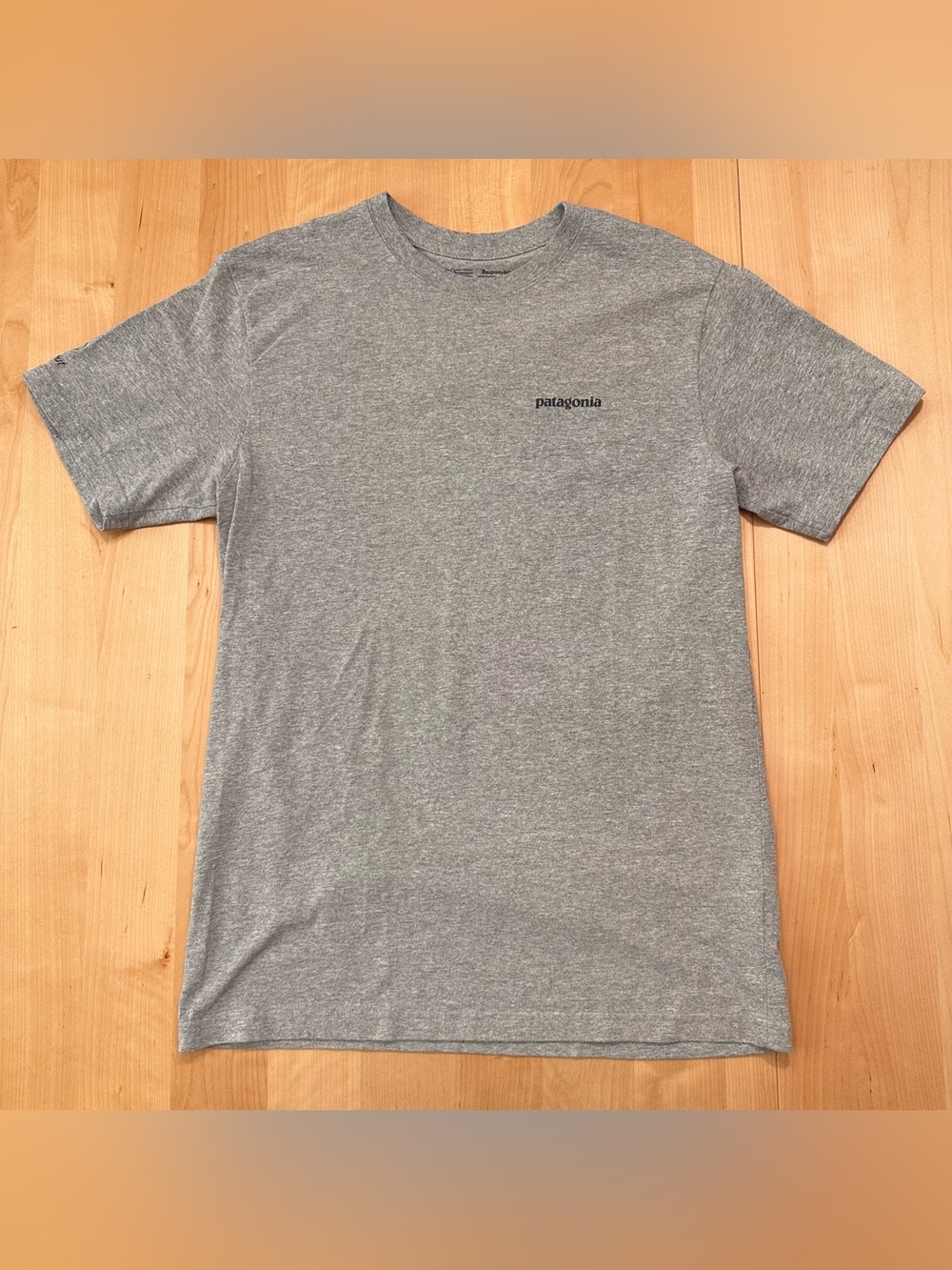 Patagonia Short-Sleeve Crew Tee in Heather Gray “Golden Dorado”